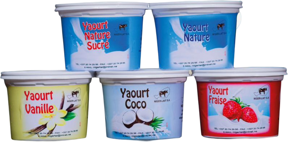 Yaourts Niger-Lait, format familial